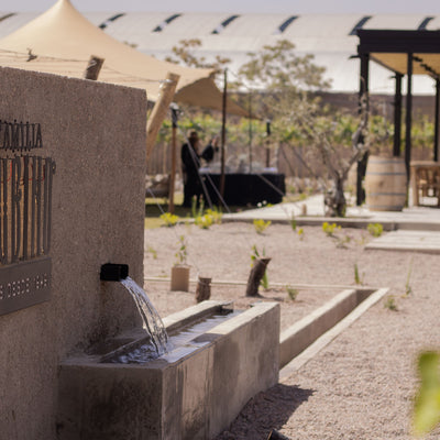 El sueño que se sirve a la mesa: Bienvenidos a Espacio Delfina