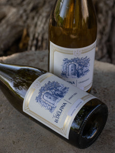 Guía de Tecnicismos del Vino: Cómo leer una botella de Familia Rubino