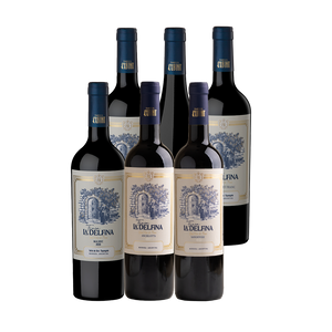 🍷 Mix Degustación Rubino